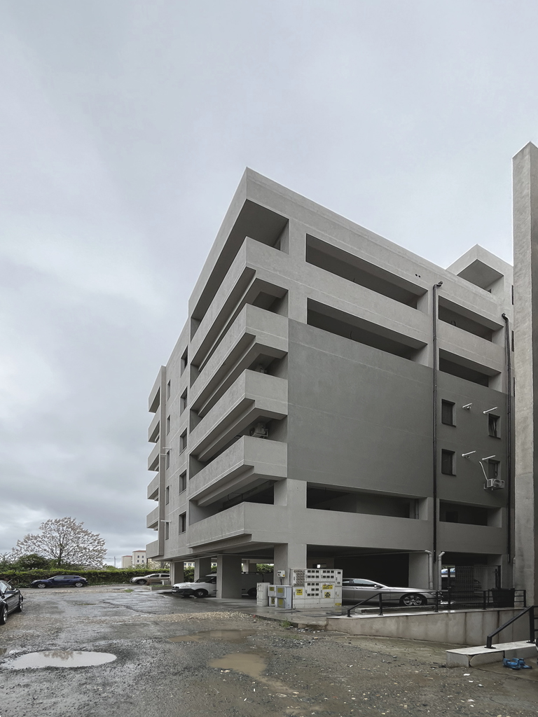 odagescu arhitect rubinului 1