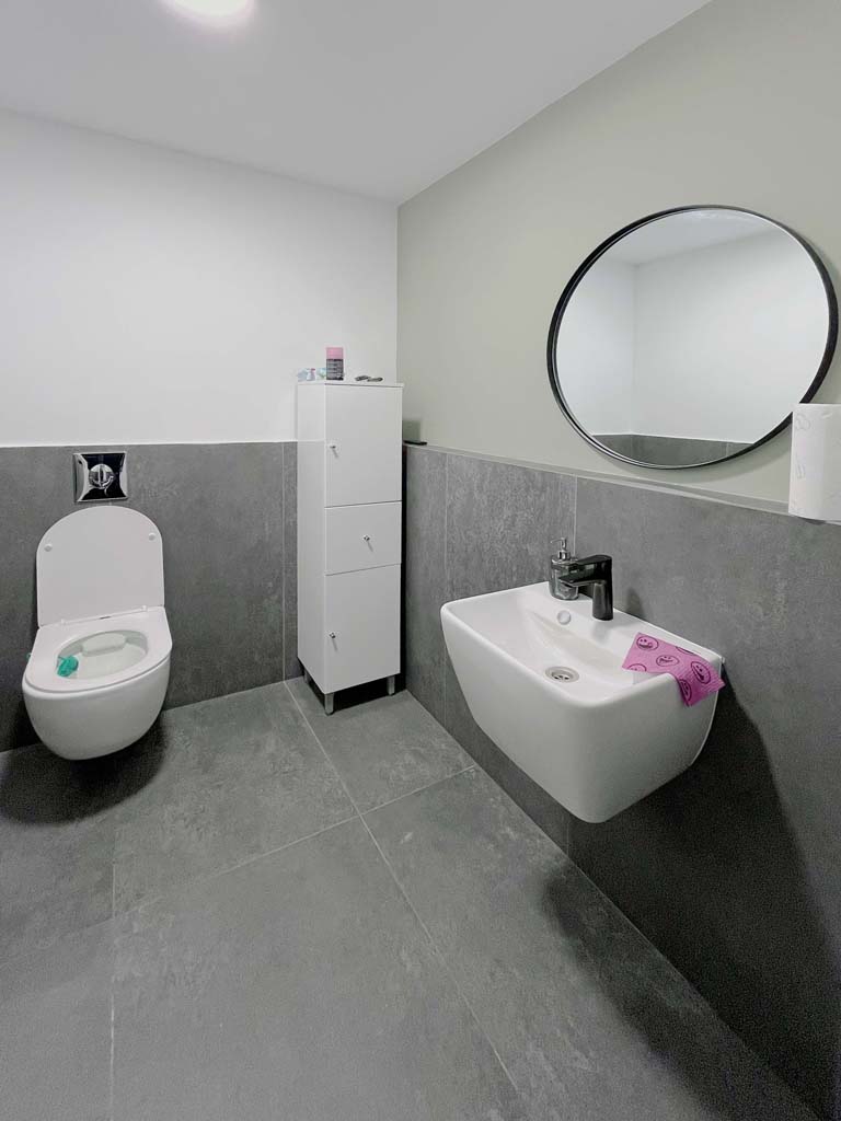 odagescu design birouri dana pl6 12