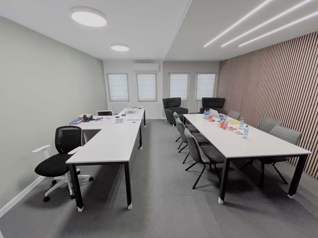 odagescu design birouri dana pl6 6