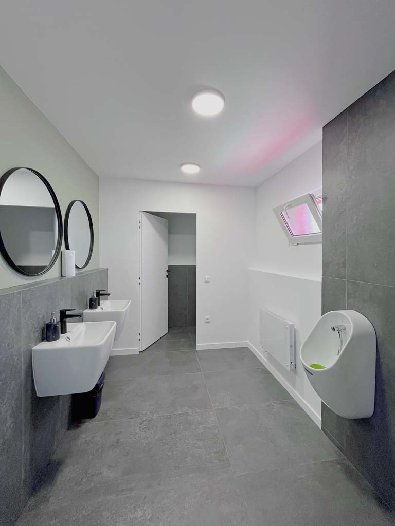 odagescu design birouri dana pl6 9